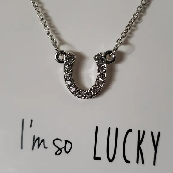 Horseshoe Necklace I'm so lucky to have you in my life Rhinestone Dainty Horsesh - Picture 4 of 9